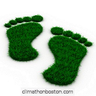 5 Kroků K Budování Efektivního Zeleného Týmu