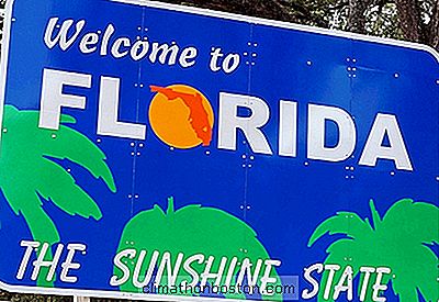  Florida Sadece Emekliler Ve Turistler Değil, Yenilikçi Başlangıçlar