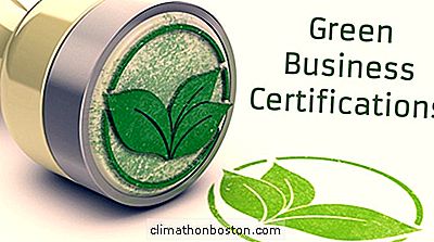 25 Legit Green Business Certifications
