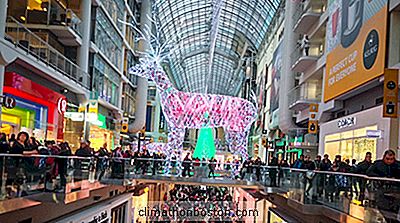 46 Prozent Der Holiday Shopping, Kauf Ist Online