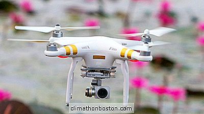 Drone Registration Up, Ny Cloud Accounting Software Kunngjort