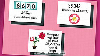 Blomsterhandlere Tilbringer $ 18,957 Gjennomsnitt På Importerte Blomster For Valentinsdag