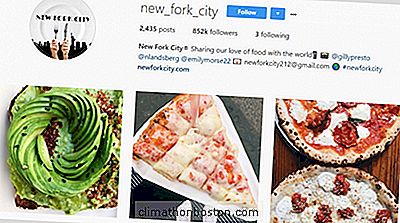 Instagramベースの中小企業ニューフォークシティ、100万人のフォロワーに近づく