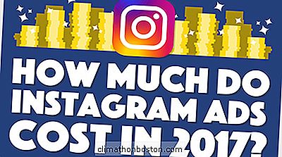 Padroneggia Le Basi Degli Annunci Instagram Con Questa Semplice Panoramica (Infografica)