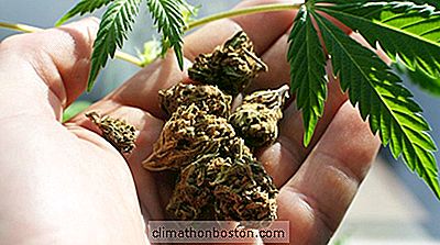 Oregon Vinodlingar Expand Business - With Marijuana?