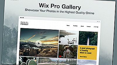  专业摄影师：Wix Pro Gallery专为您的业务而设计