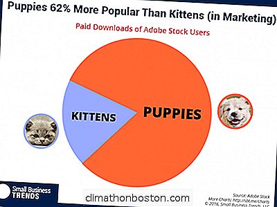 Puppies 62 Percent Lebih Popular Daripada Kittens Dalam Pemasaran
