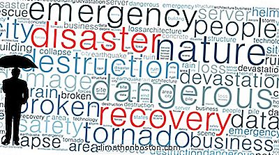  Small Business Disaster Survival Guide: Få Forsikringskravene Dine Dekket