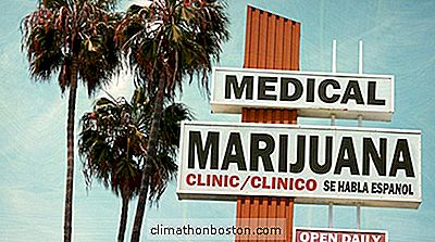 Starte En Marijuana-Virksomhet: En Stat Etter Statsveiledning