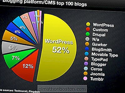 Wordpress Domina I Migliori Blog 100