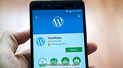 Administración: Wordpress Tiene El 30% De Los 10 Mejores Sitios, ¿Qué Le Parece?