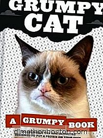 Markedsføring: Grumpy Cat Er Overskriften Til Hollywood