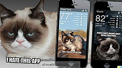 Grumpy Cat Leverer Nå Værmeldinger Til Telefonen Din