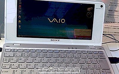 Sony Per Vendere Il Suo Vaio Pc And Laptop Business